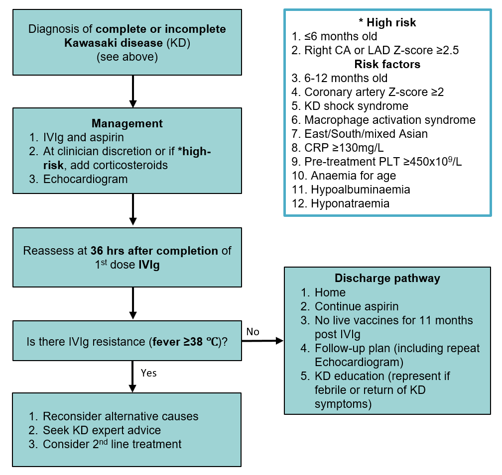 KD treatment flowchart KD treatment flowchart